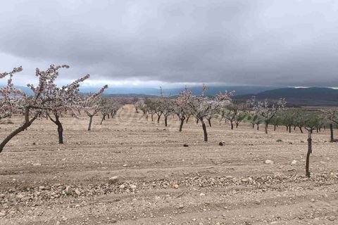 Helårsgrund i Yecla, Murcia, Yecla - € 45.000 | Ref: SF0565 - foto 14